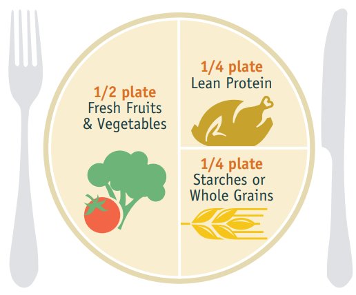 Líneas guía nutricionales de un plato equilibrado de comida.